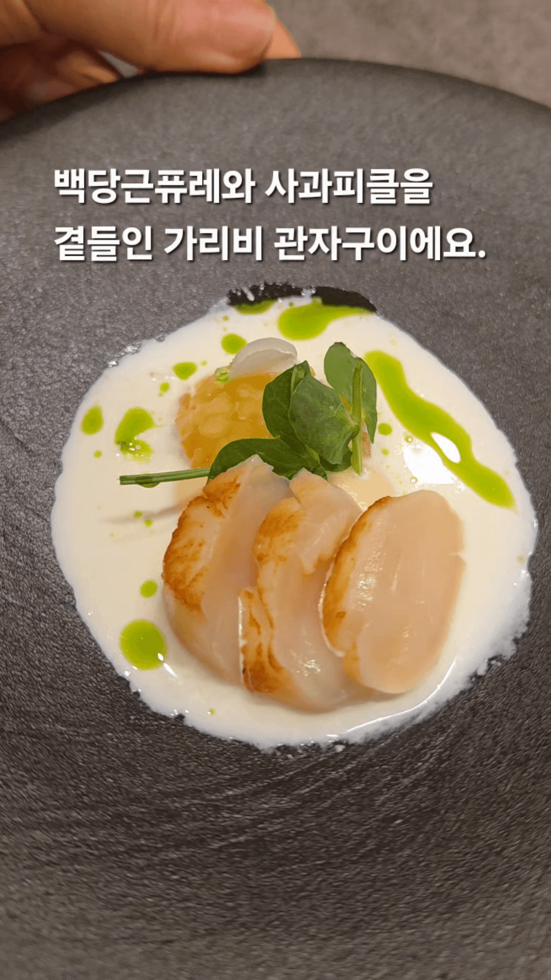 콘텐츠