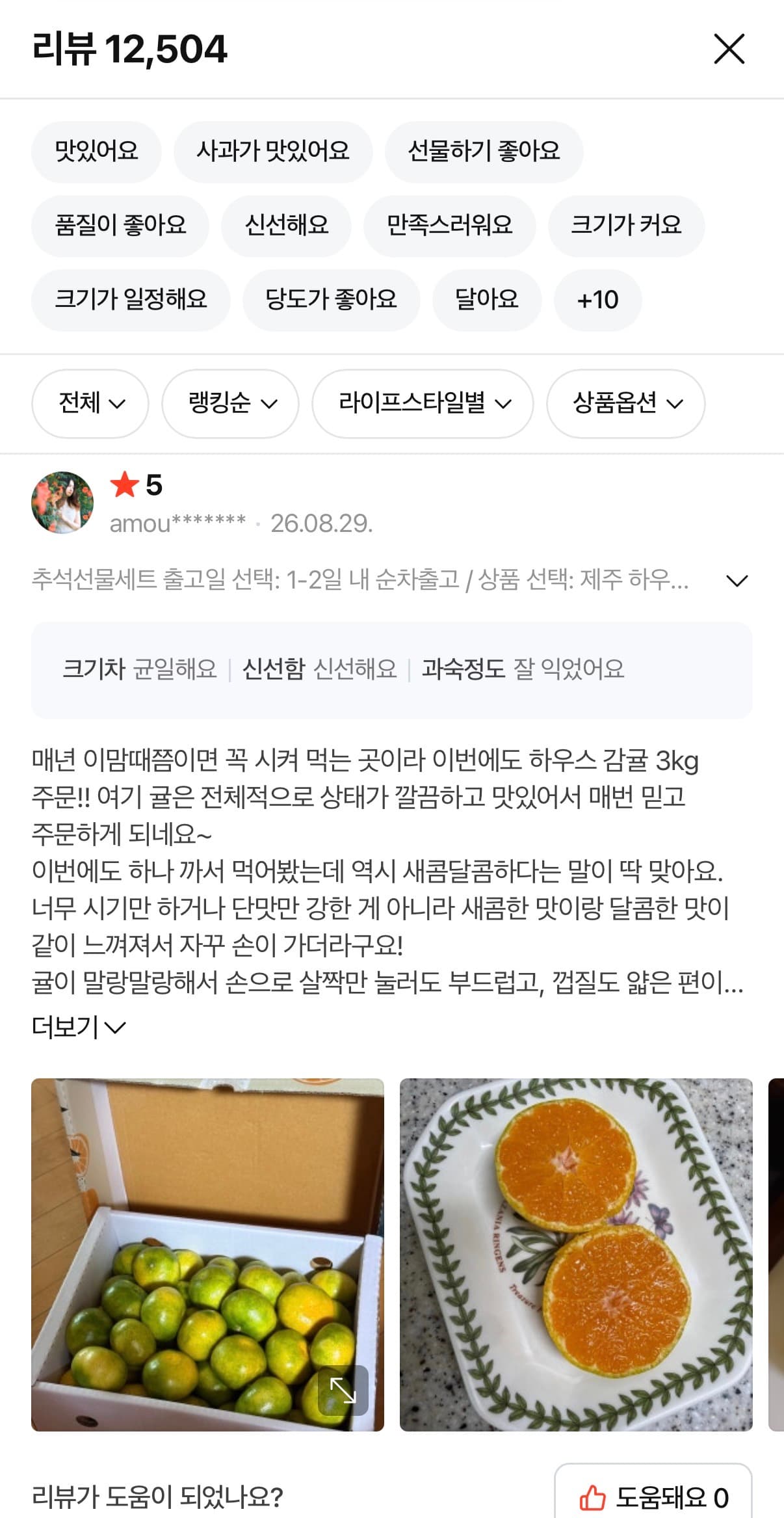 새콤달콤 제주 하우스 감귤