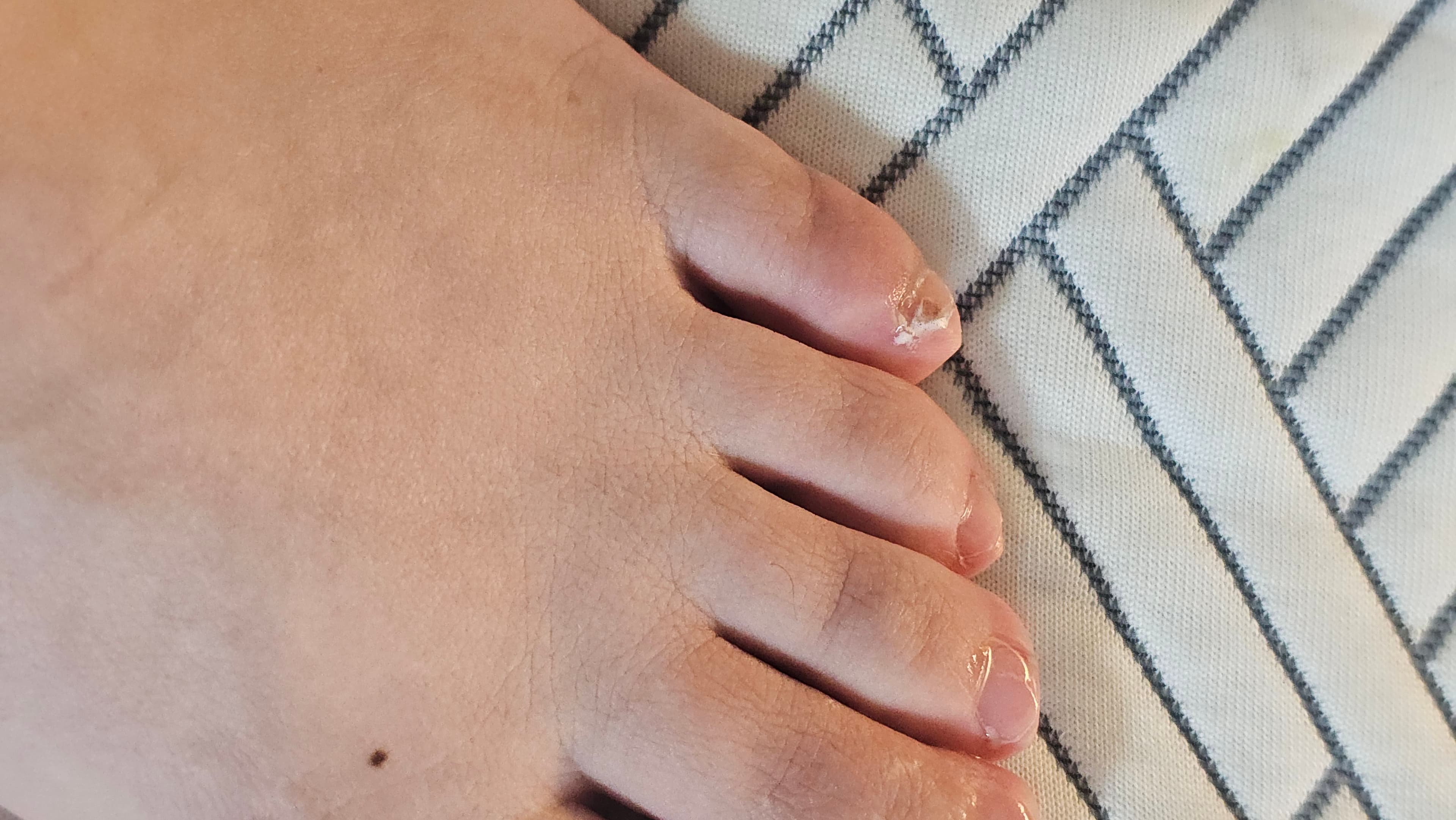 토모젠 사진 촬영 체험단