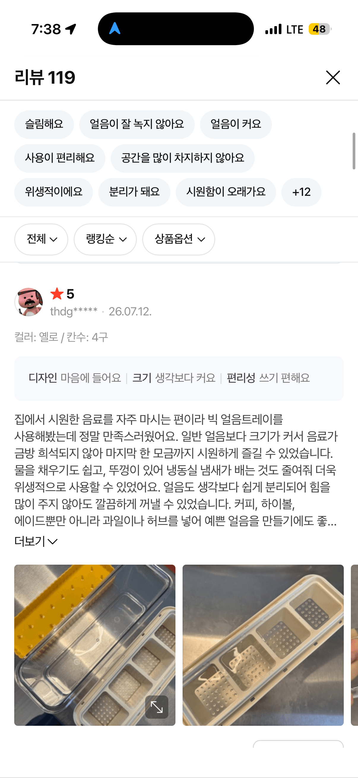 푸쉬 빅 얼음 트레이 리뷰어 모