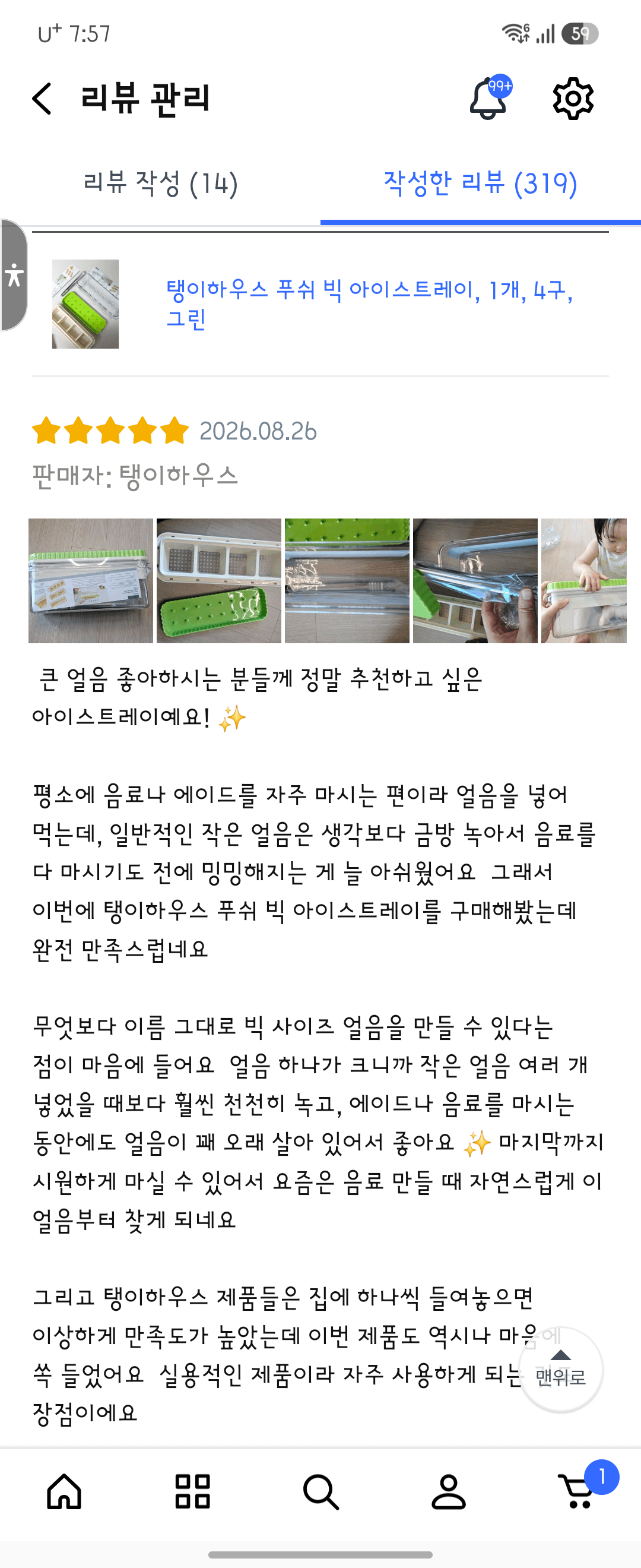 푸쉬 빅 얼음 트레이 리뷰어 모
