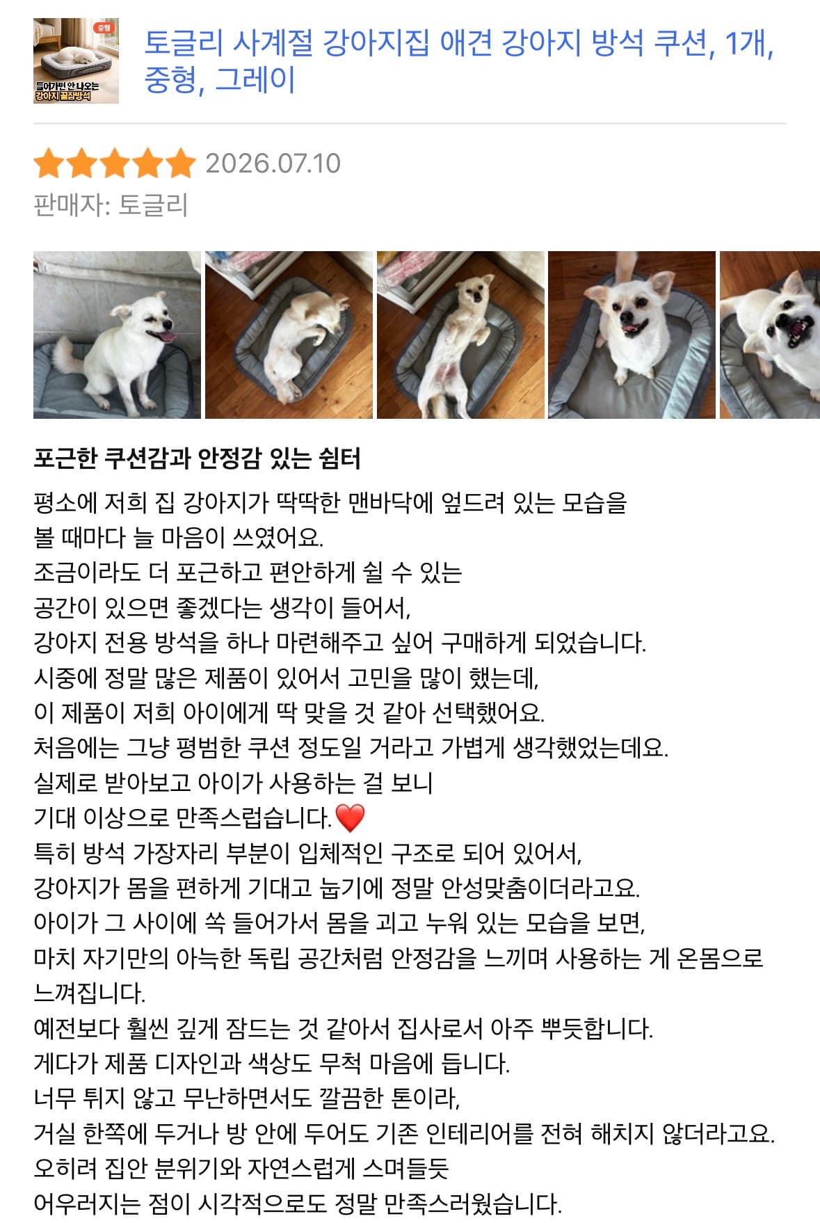 강아지 방석 쿠션