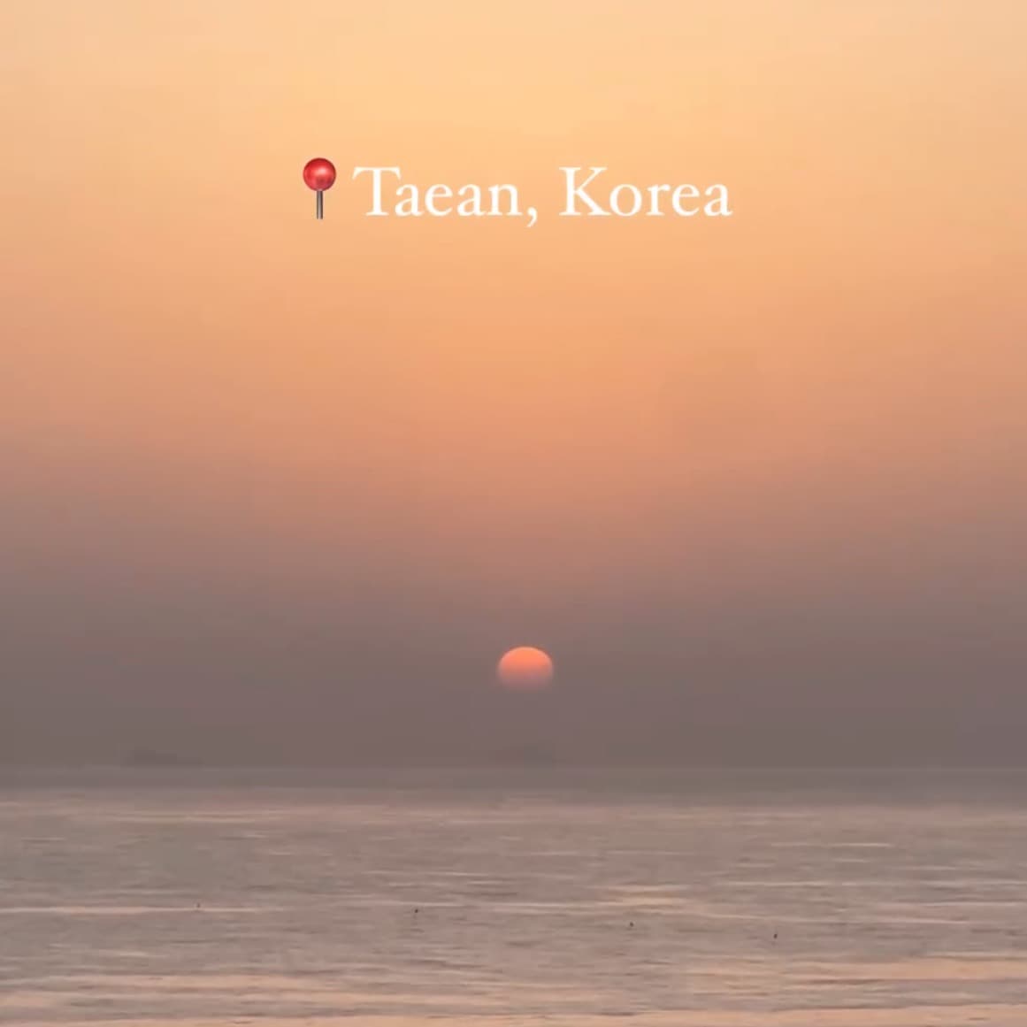 쇼츠, 릴스에 쓸 수 있는 영상 제작해드립니다 1