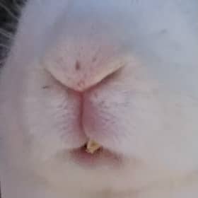 희들524