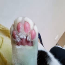 메모리