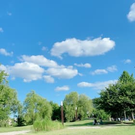 김죤맘