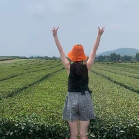 모찌혜인
