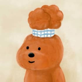 슈미블