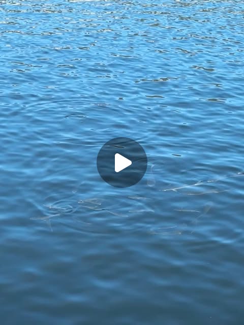 87-STAN291 사이드 턱 슬래쉬 윈드브레이커 나일론 와이드 팬츠 (3color)