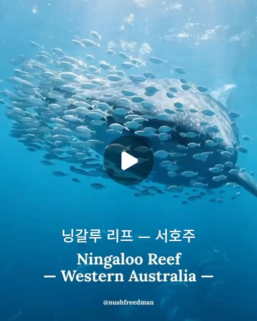 결과물 예시
