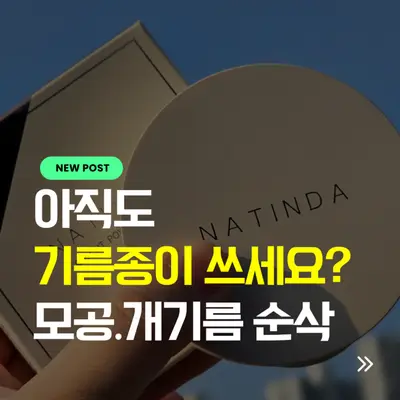 [나틴다] 오일 컷 파우더 팩트 12g (21호,23호)